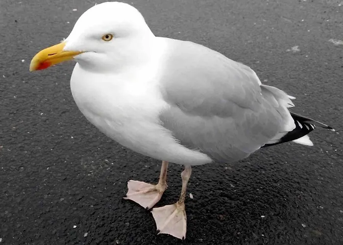 La Maison De Pierre 2 Semesterbostad *