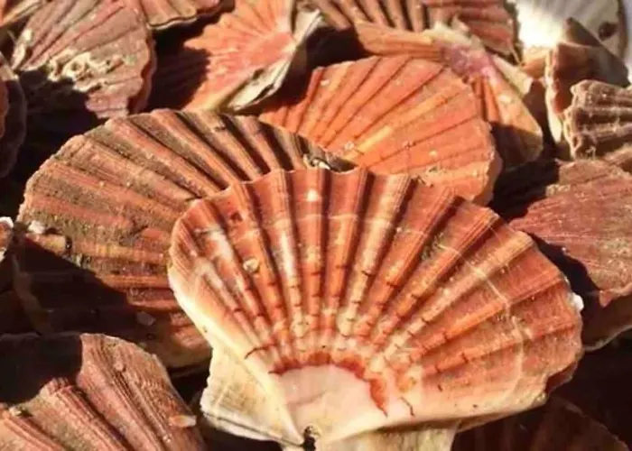 La Maison De Pierre 2 Port-en-Bessin-Huppain